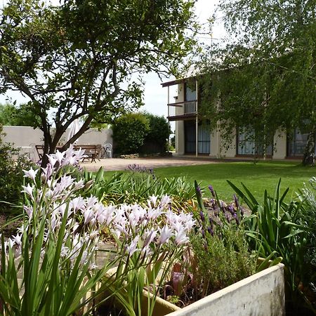 Coonawarra Motor Lodge Penola Exterior foto