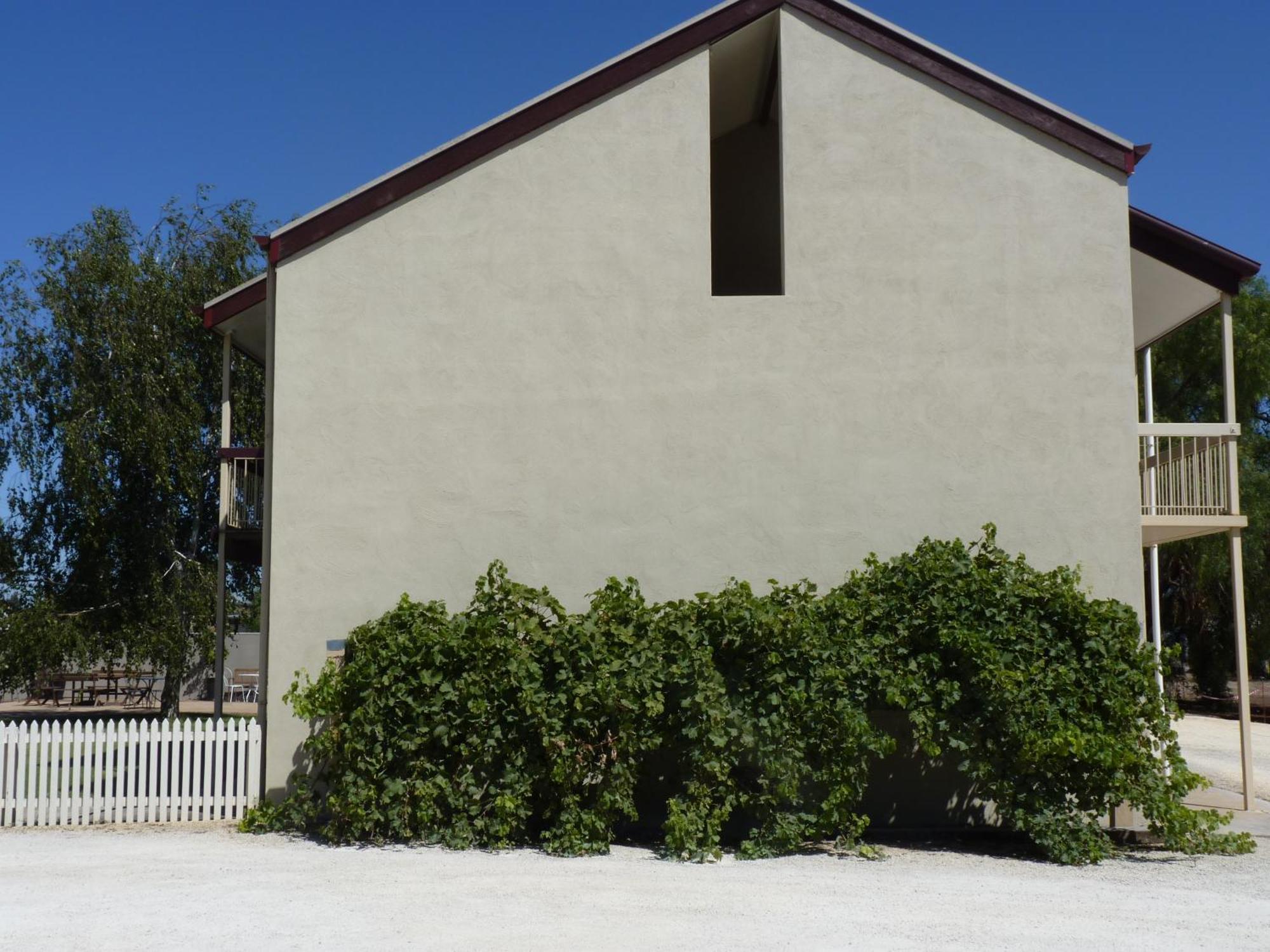 Coonawarra Motor Lodge Penola Exterior foto