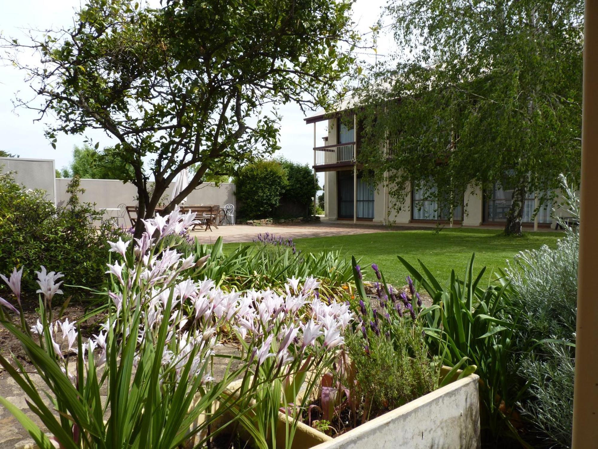 Coonawarra Motor Lodge Penola Exterior foto